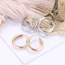 Load image into Gallery viewer, Bold Brush Finish Hoop Earrings 2mm
